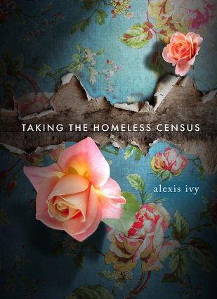 Taking the Homeless Census