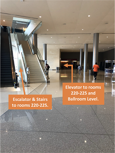 This photo shows arrows indicating an escalator to the left, next to a set of stairs with silver handrails on either side. Another arrow points farther down a hallway, and to the left is an elevator.
