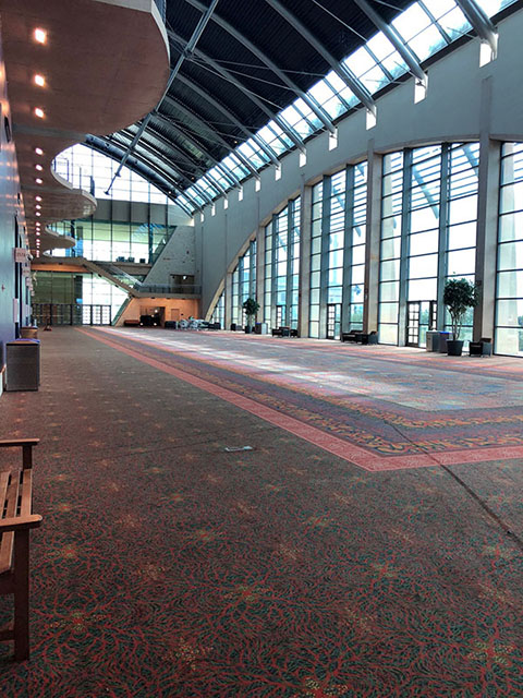 This photo shows another wide hallway, very similar to Park View Registration. The area is carpeted in a pattern that is green, spotted with gold stars, and overlaid with a red vein-like pattern.